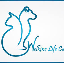 Welkine